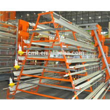 Chicken cage automatic feeding system for poultry farm in China